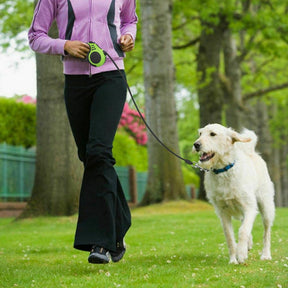 Automatic Retractable Dog Leash Pet Collar Automatic Walking Lead FreeLeash - Purrfect Pets