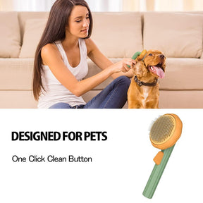Pet Pumpkin Self Cleaning Brush - Purrfect Pets