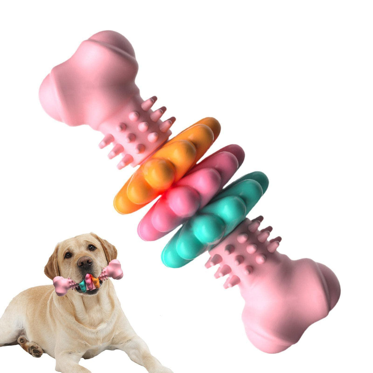 Bite Resistant Bone Type Dogs Teeth Cleaning Toys - Purrfect Pets